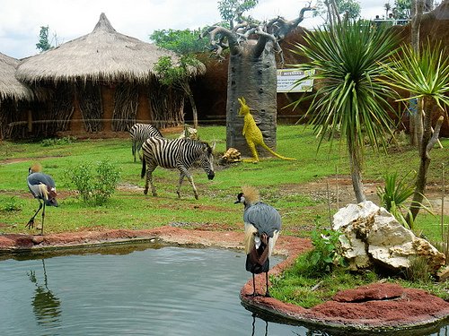 Mengisi Liburan Di Secret Zoo – Museum Satwa - Malang Guidance