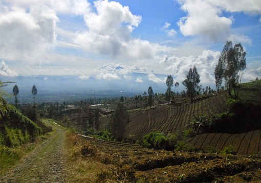 Alam Sewu, Negeri di Atas Awan Temanggung yang indah. sumber: 2.bp.blogspot.com