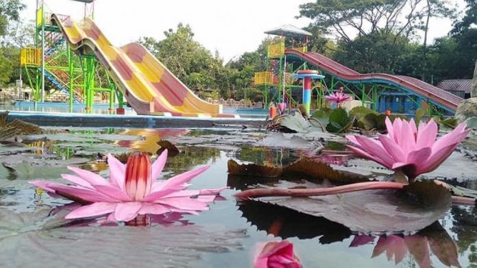 Waterpark Tiga Bintang Firdaus, sumber teraspendopo.com